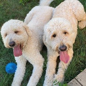 Meet your Posher, Jaimie